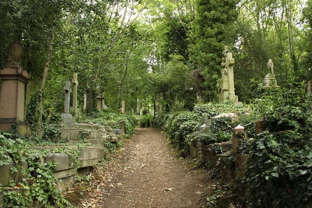 A picture of the Highgate cemetery (East). Image credit: wikipedia.