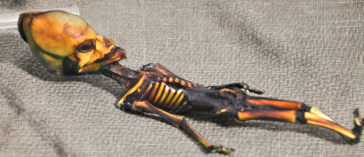 The Atacama Skeleton: Tiny Alien Remains?