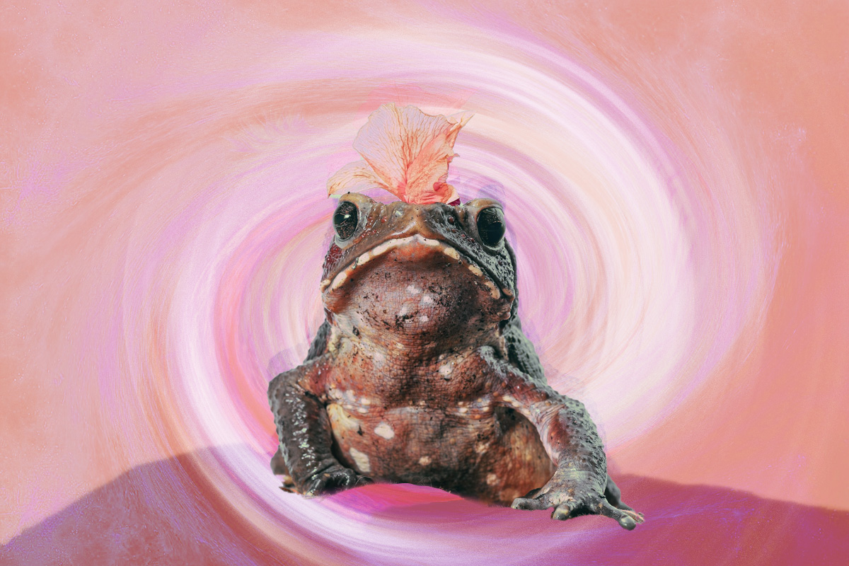 Warts: The Story of Loveland Frogman