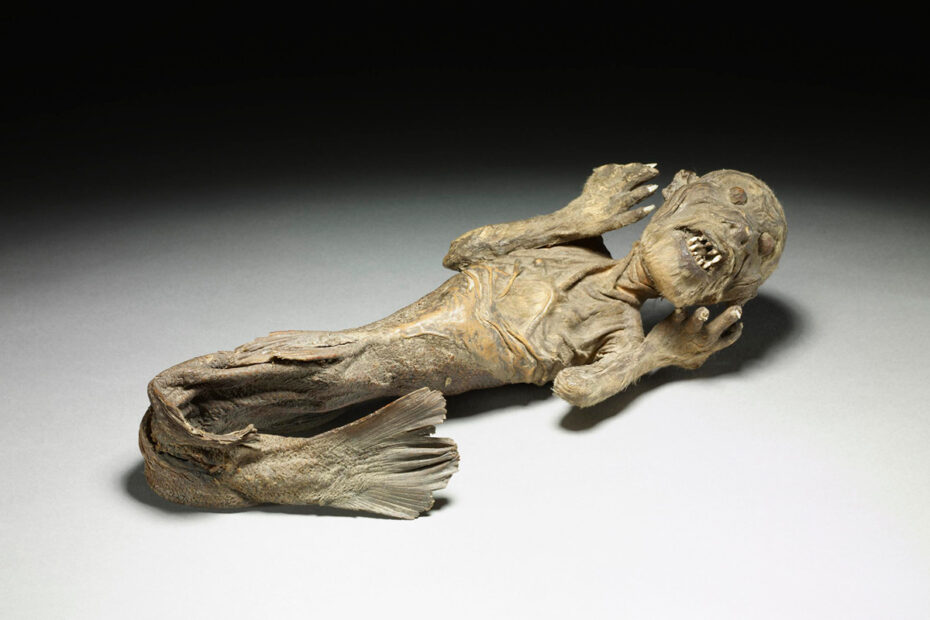 mummified japanese mermaid