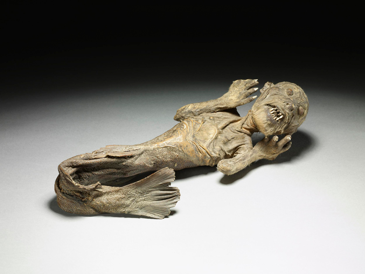 Is the Japanese Mermaid Mummy Real?